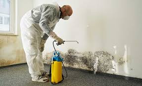 Best Mold Remediation for Healthcare Facilities in USA